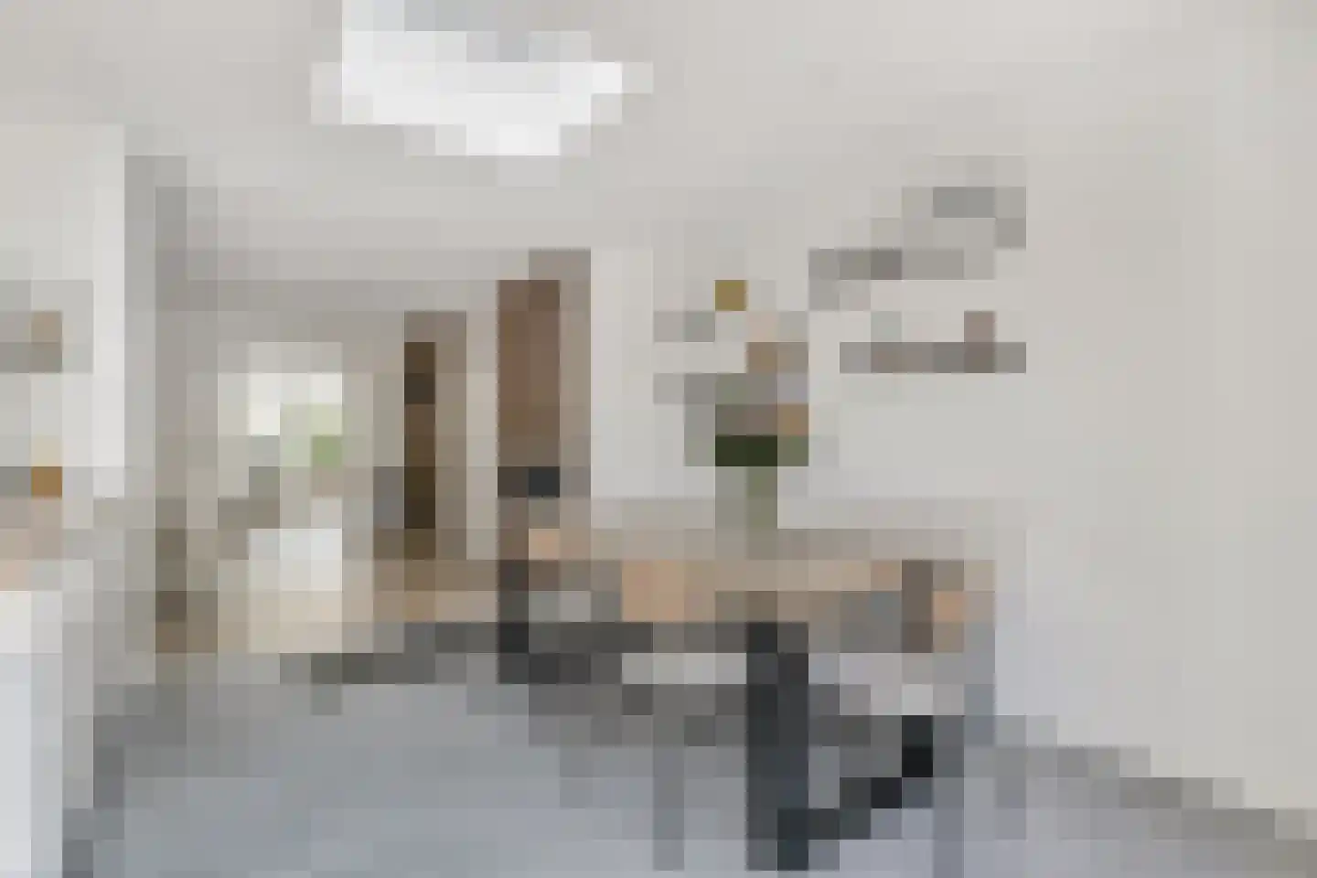 Kramsvogellaan 17 Den Haag thumbnail 17