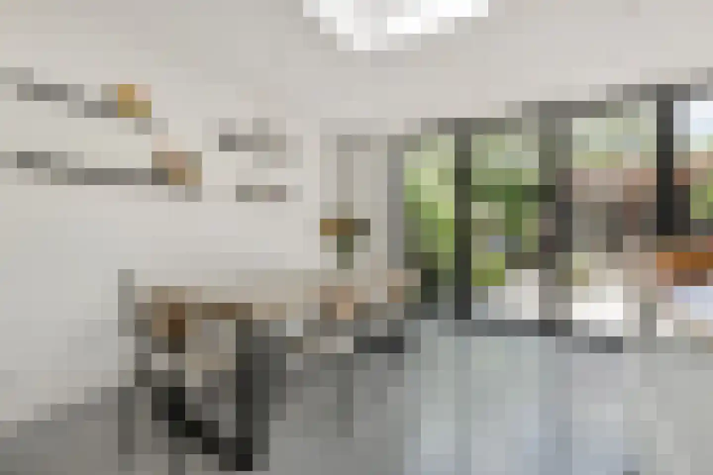 Kramsvogellaan 17 Den Haag thumbnail 18