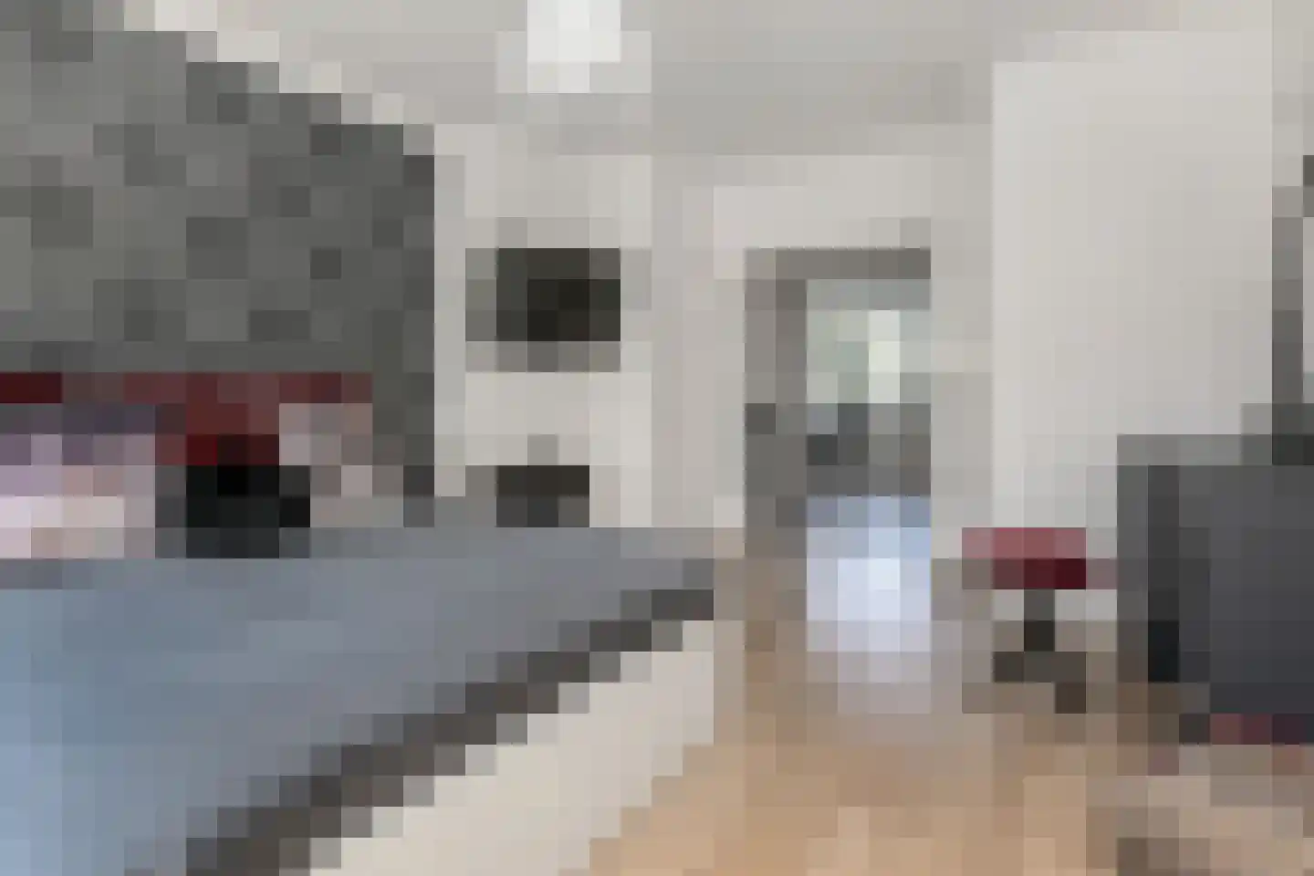 Kramsvogellaan 17 Den Haag thumbnail 27
