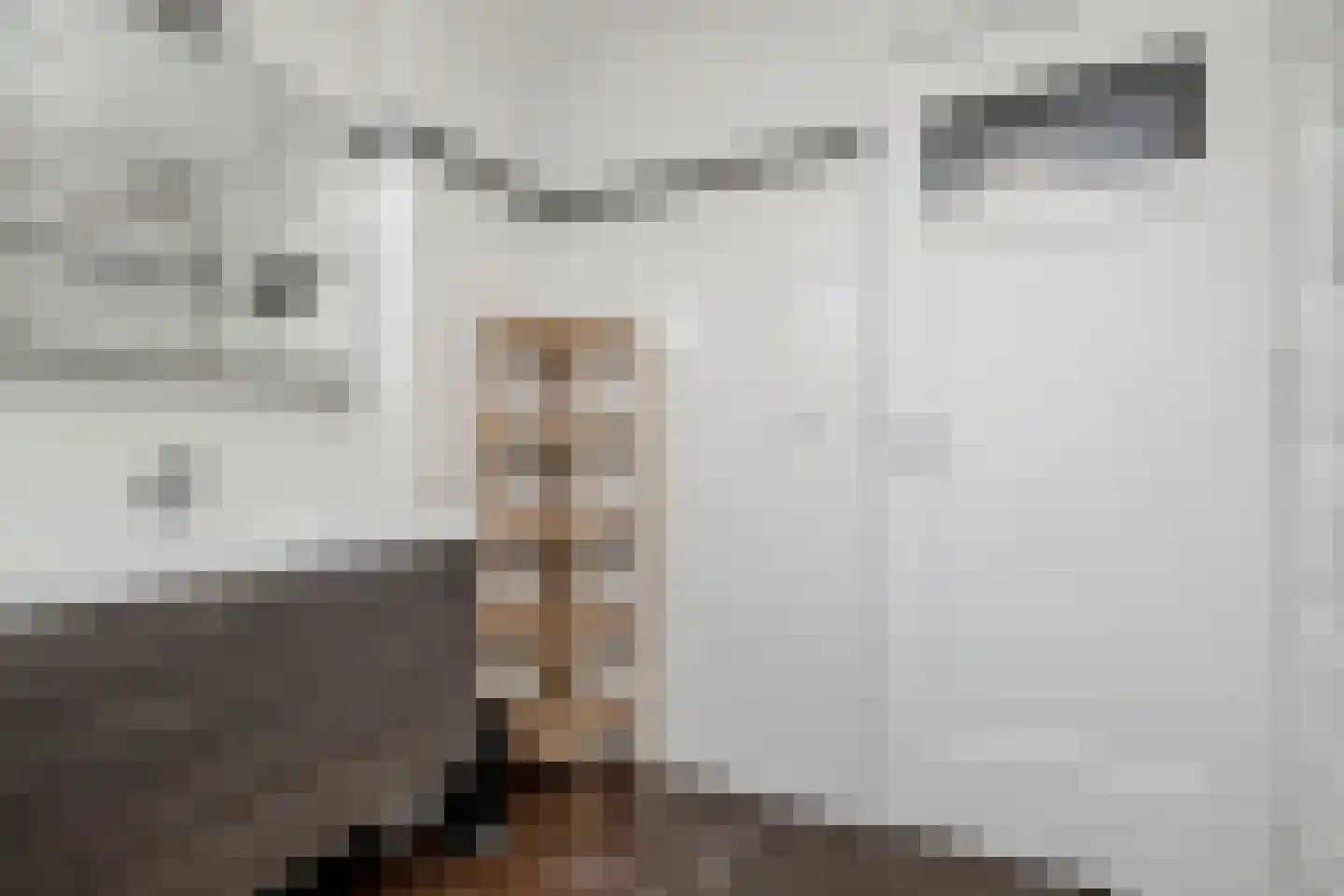 Kramsvogellaan 17 Den Haag thumbnail 34