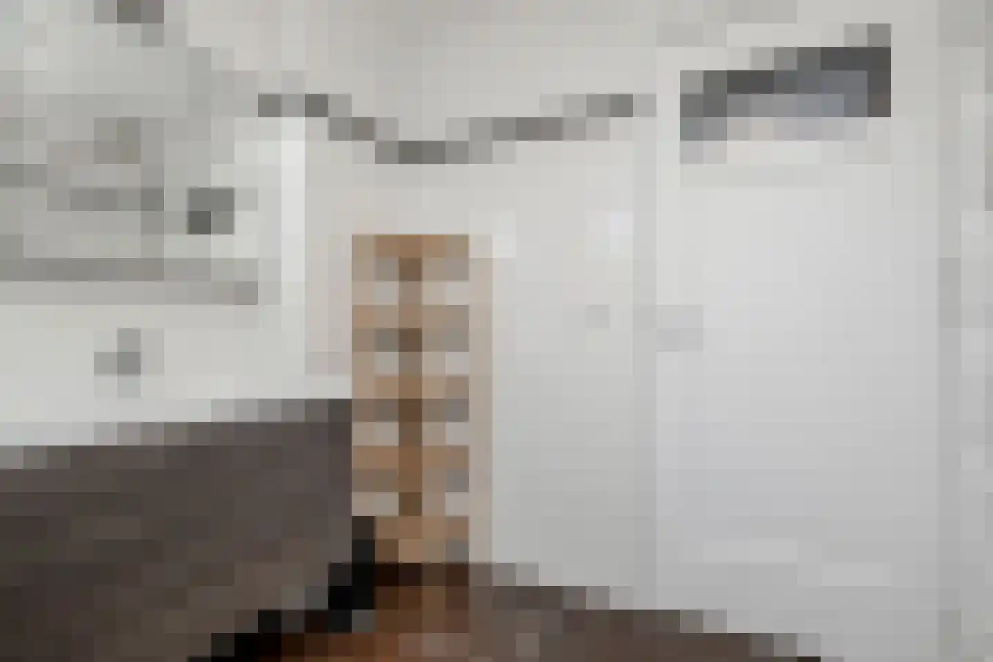Kramsvogellaan 17 Den Haag thumbnail 34