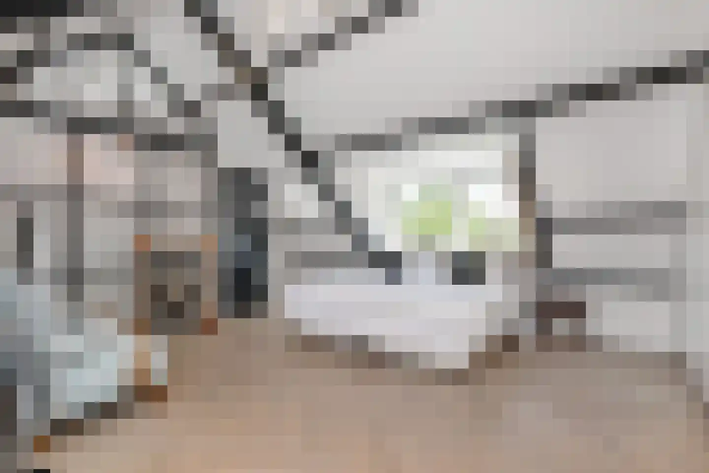Kramsvogellaan 17 Den Haag thumbnail 35