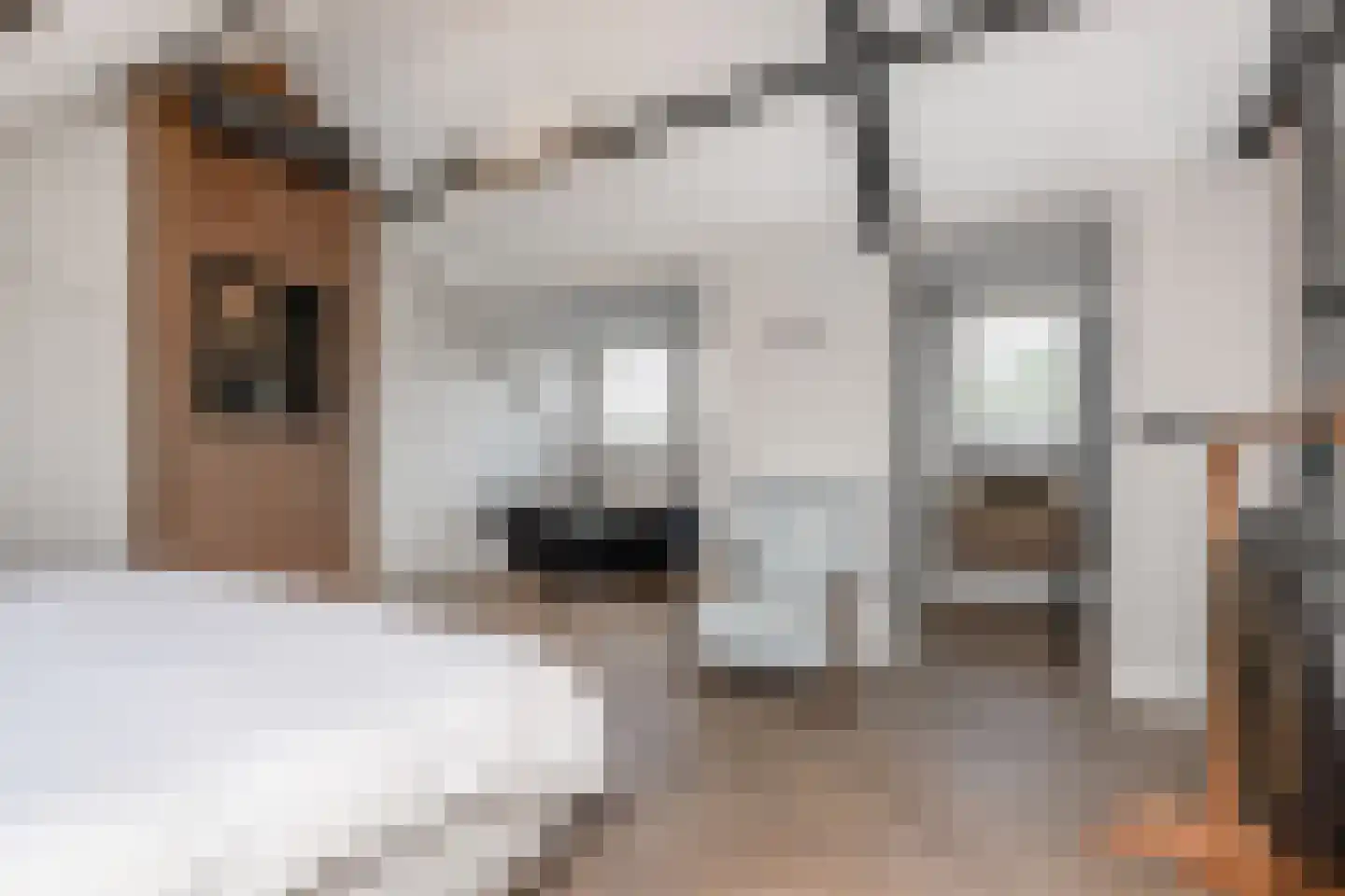 Kramsvogellaan 17 Den Haag thumbnail 38