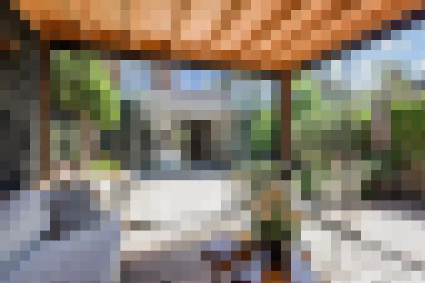 Kramsvogellaan 17 Den Haag thumbnail 4