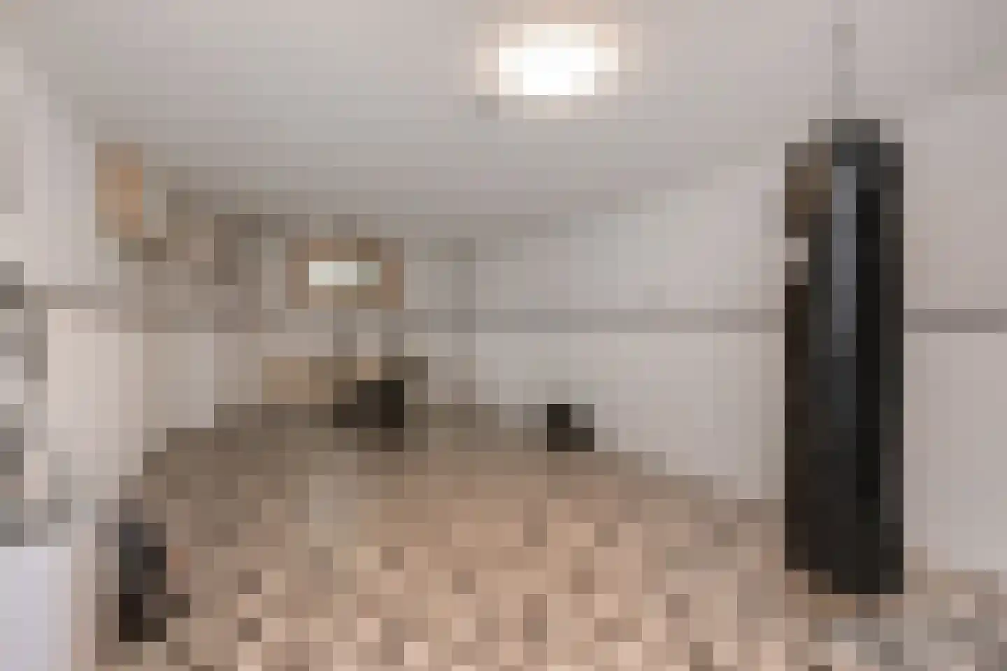 Kramsvogellaan 17 Den Haag thumbnail 42