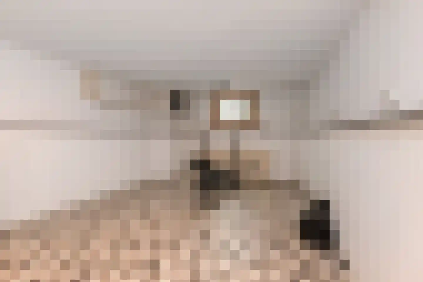 Kramsvogellaan 17 Den Haag thumbnail 43