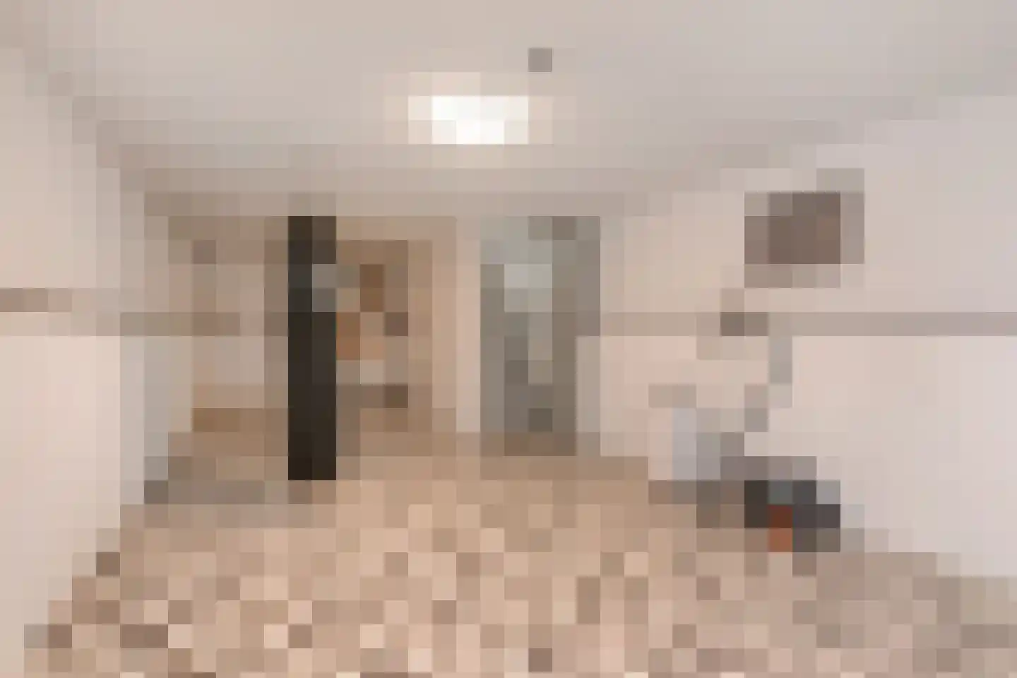 Kramsvogellaan 17 Den Haag thumbnail 44