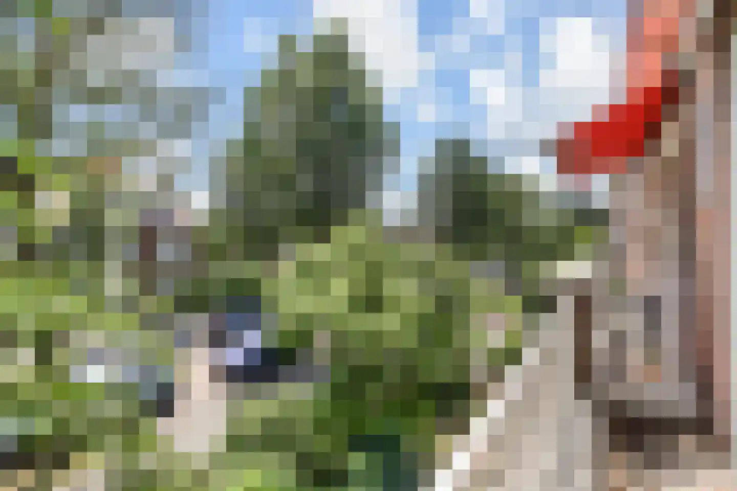 Kramsvogellaan 17 Den Haag thumbnail 48