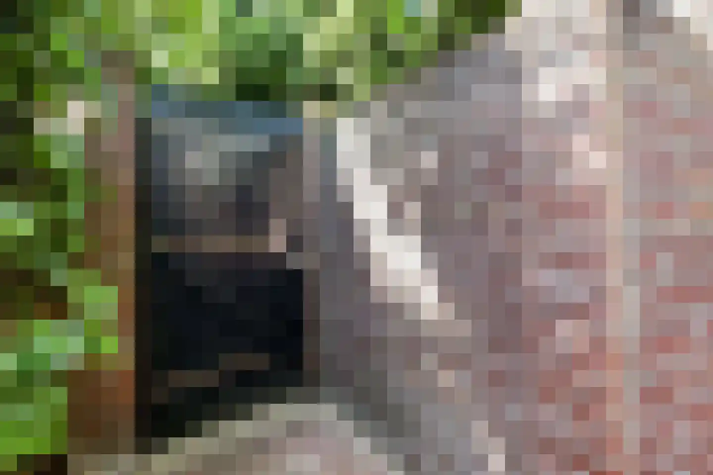 Kramsvogellaan 17 Den Haag thumbnail 50