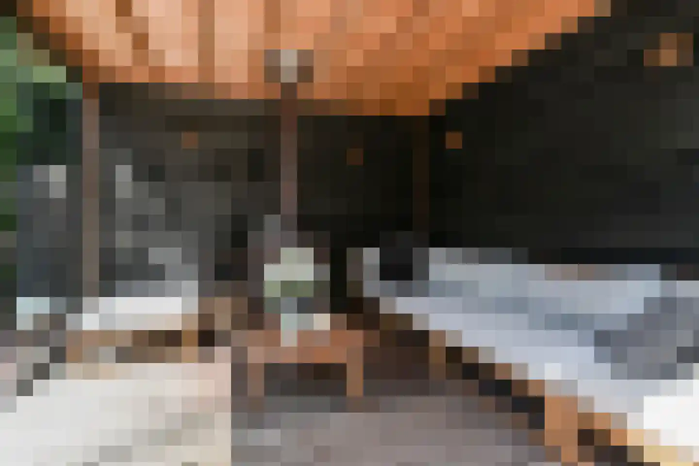 Kramsvogellaan 17 Den Haag thumbnail 52