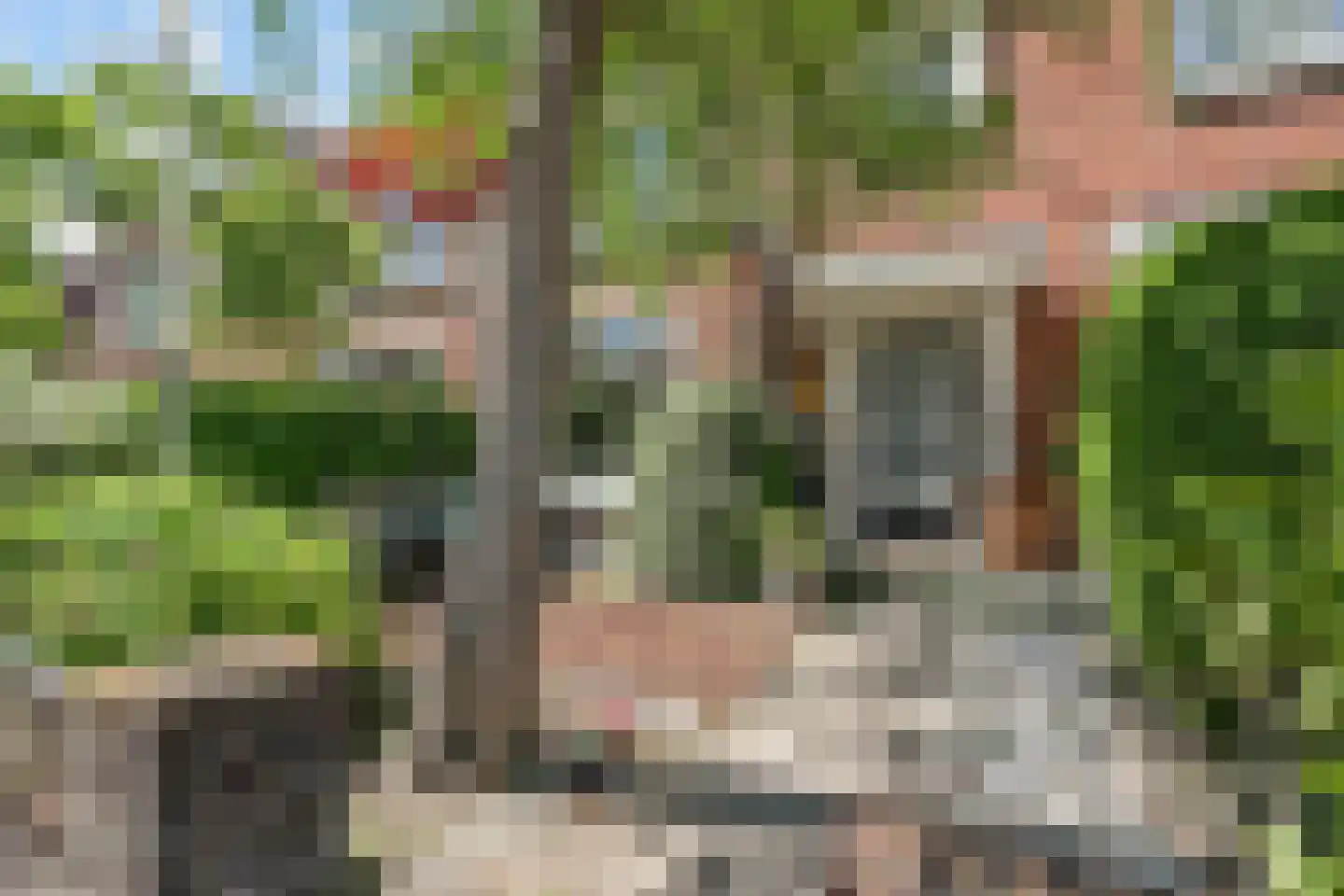 Kramsvogellaan 17 Den Haag thumbnail 8