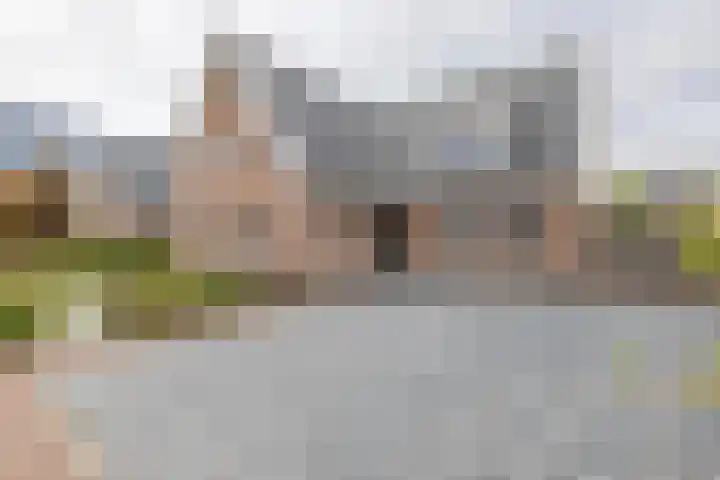 Kramsvogellaan 6 Almere