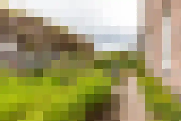 Kramsvogellaan 6 Almere thumbnail 10