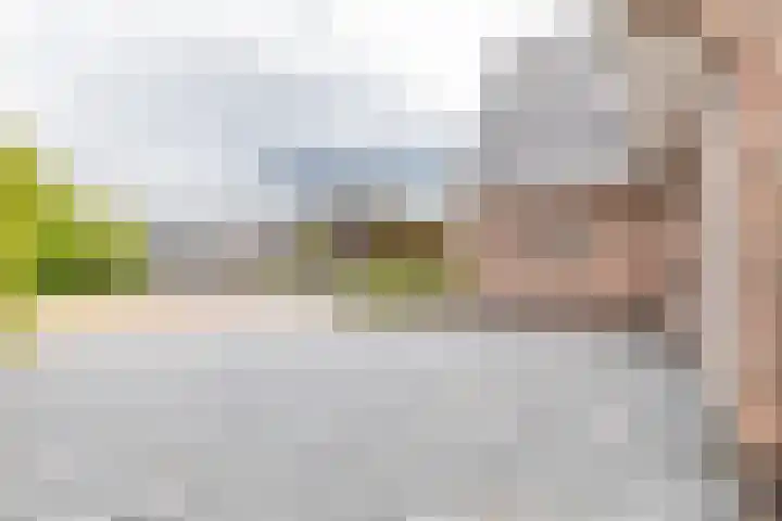 Kramsvogellaan 6 Almere thumbnail 12