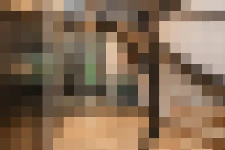 Kramsvogellaan 6 Almere thumbnail 14
