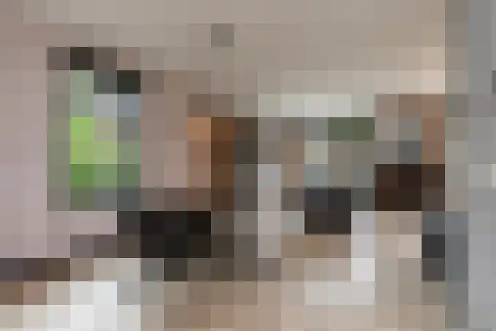 Kramsvogellaan 6 Almere thumbnail 18