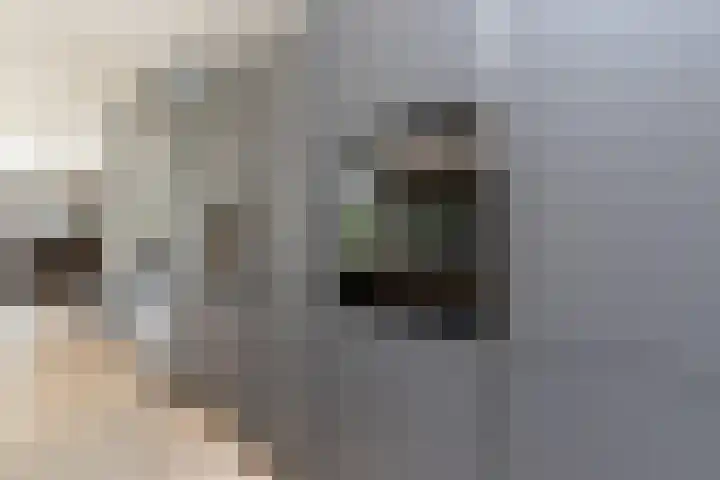Kramsvogellaan 6 Almere thumbnail 28