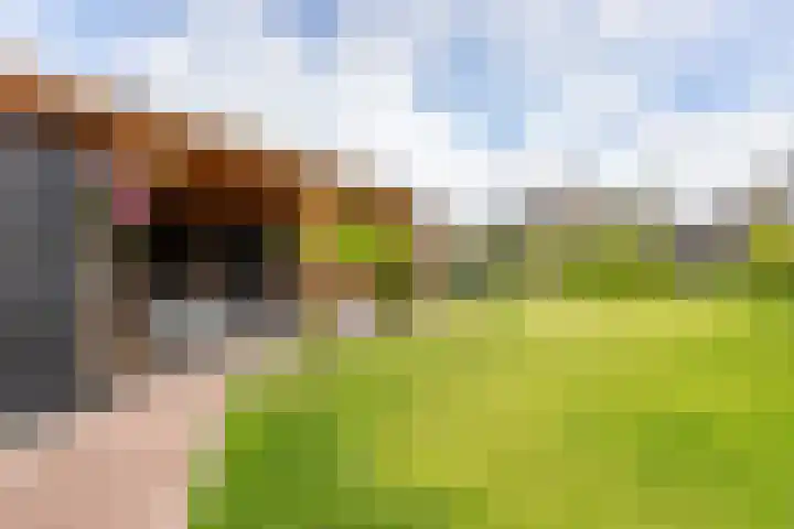 Kramsvogellaan 6 Almere thumbnail 32