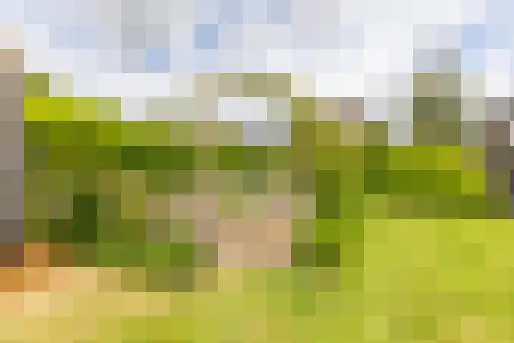 Kramsvogellaan 6 Almere thumbnail 41
