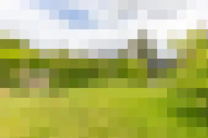 Kramsvogellaan 6 Almere thumbnail 43