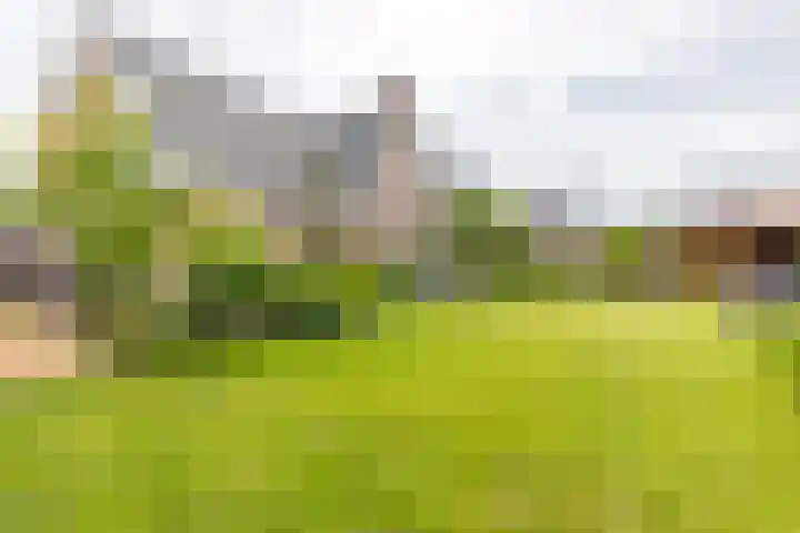 Kramsvogellaan 6 Almere thumbnail 44