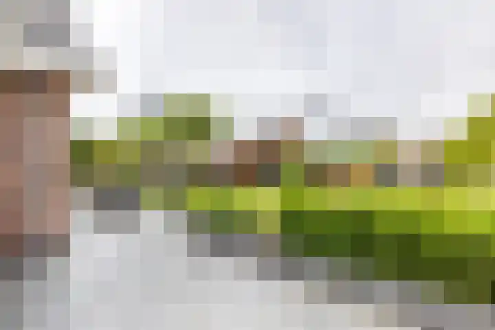 Kramsvogellaan 6 Almere thumbnail 45