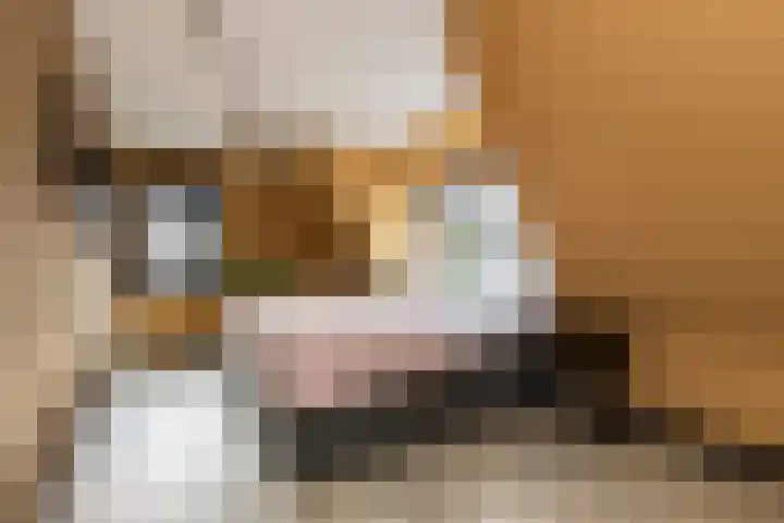 Kramsvogellaan 6 Almere thumbnail 5