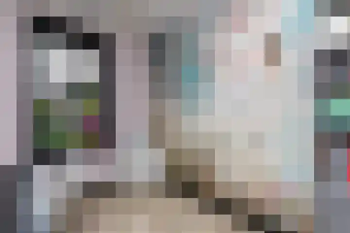 Kramsvogellaan 6 Almere thumbnail 51