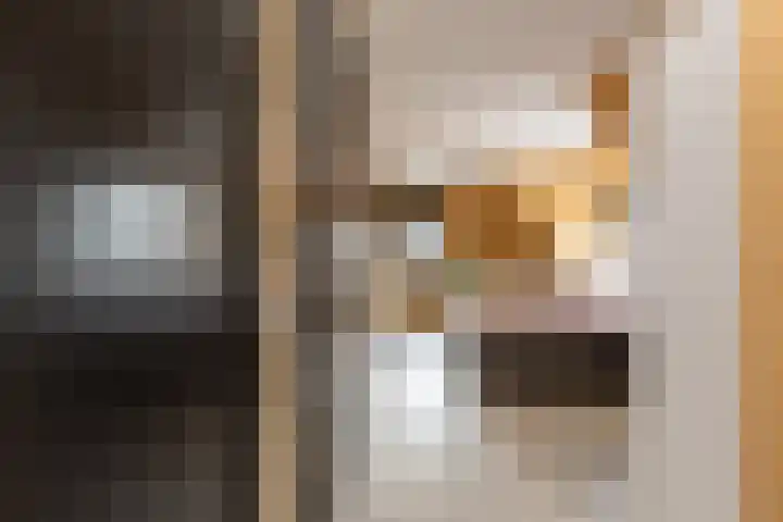 Kramsvogellaan 6 Almere thumbnail 58