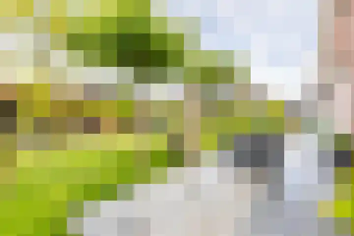Kramsvogellaan 6 Almere thumbnail 6