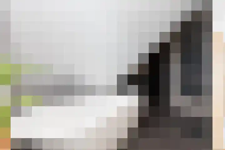 Kramsvogellaan 6 Almere thumbnail 68