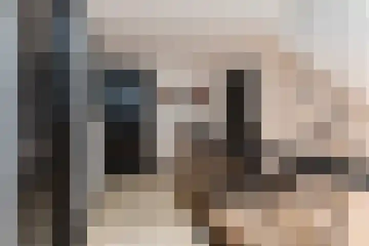 Kramsvogellaan 6 Almere thumbnail 81