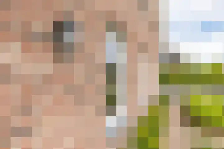 Kramsvogellaan 6 Almere thumbnail 87
