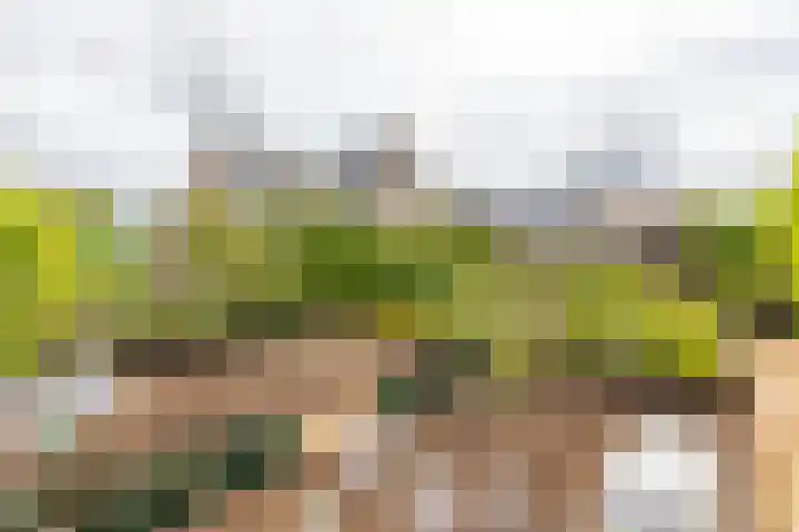 Kramsvogellaan 6 Almere thumbnail 9