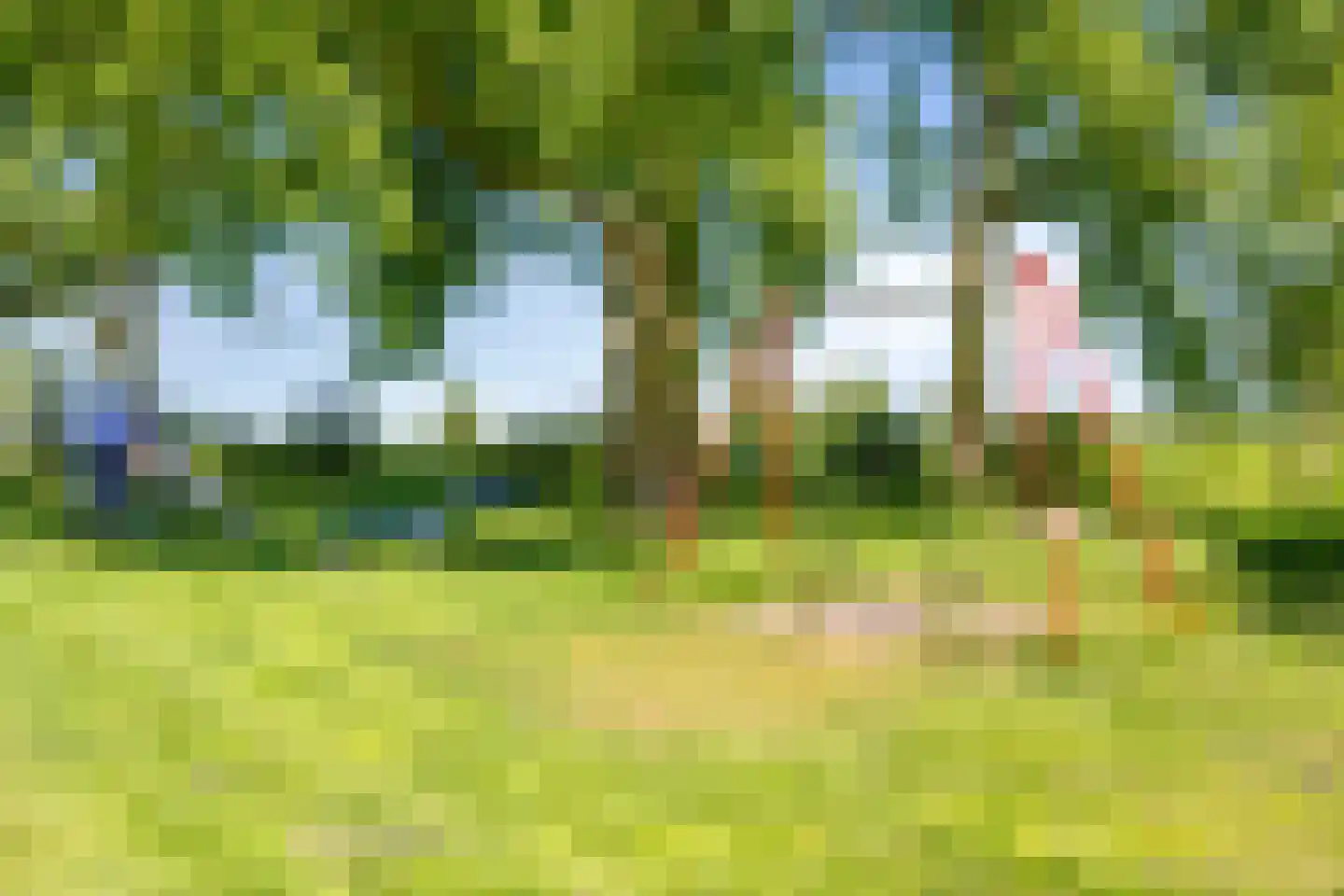 Kramsvogelstraat 1 IJsselstein thumbnail 59