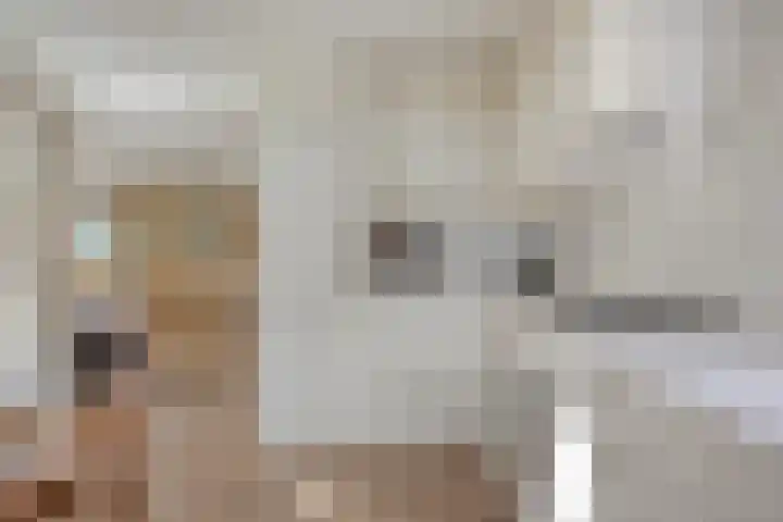 Kranenberg 3 Casteren thumbnail 18