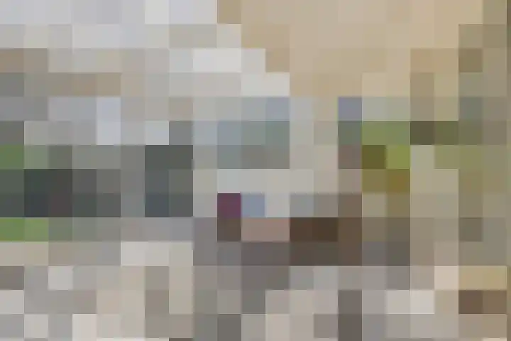 Kranenberg 3 Casteren thumbnail 20