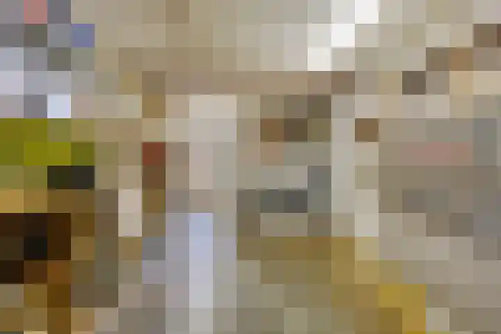 Kranenberg 3 Casteren thumbnail 25