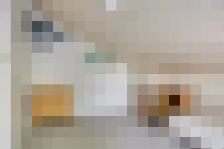 Kranenberg 3 Casteren thumbnail 42