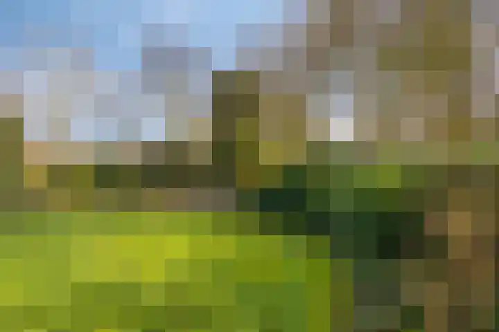 Kranenberg 3 Casteren thumbnail 43