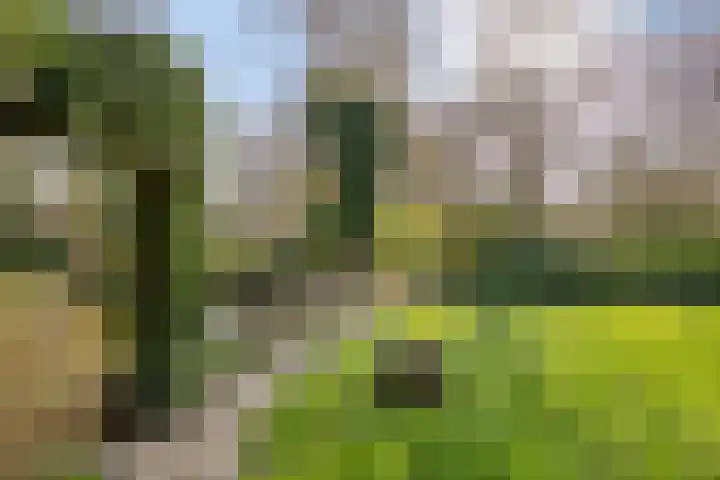 Kranenberg 3 Casteren thumbnail 44