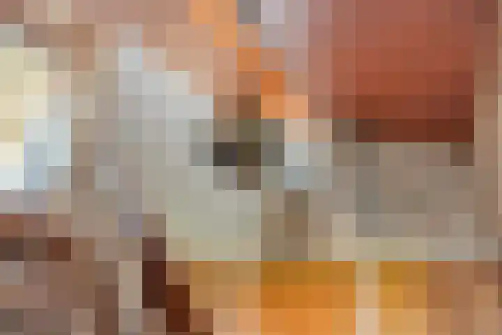 Kranenberg 3 Casteren thumbnail 5