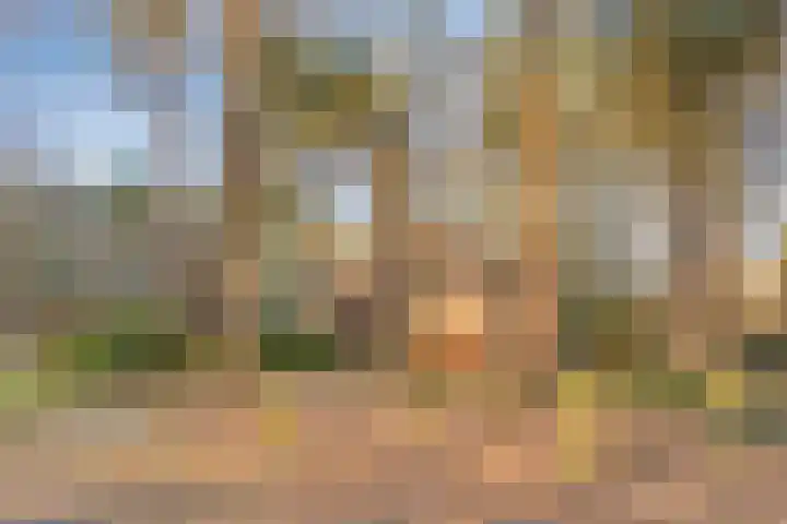 Kranenberg 3 Casteren thumbnail 53