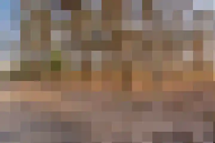 Kranenberg 3 Casteren thumbnail 54