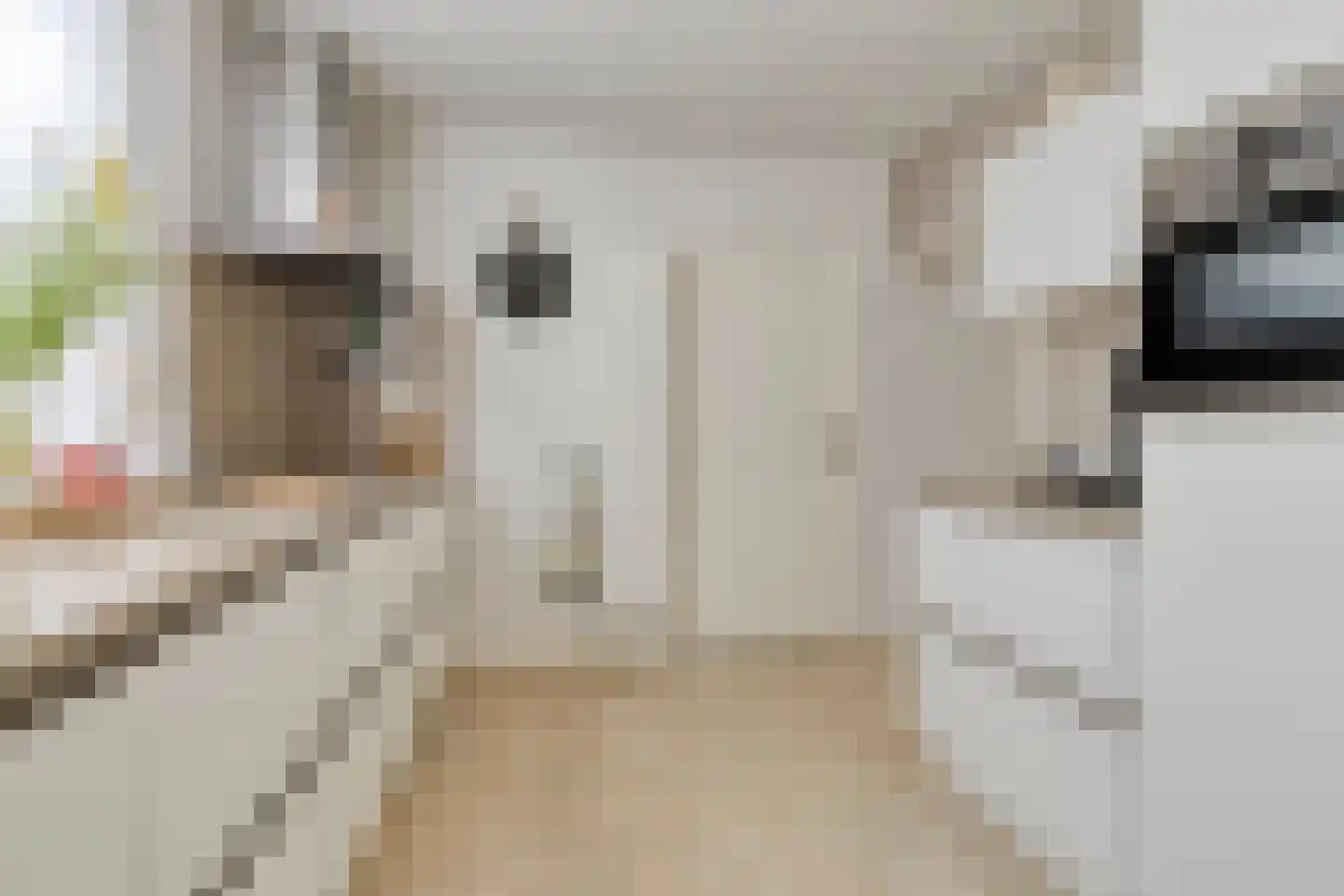 Kranenberg 31 Casteren thumbnail 17