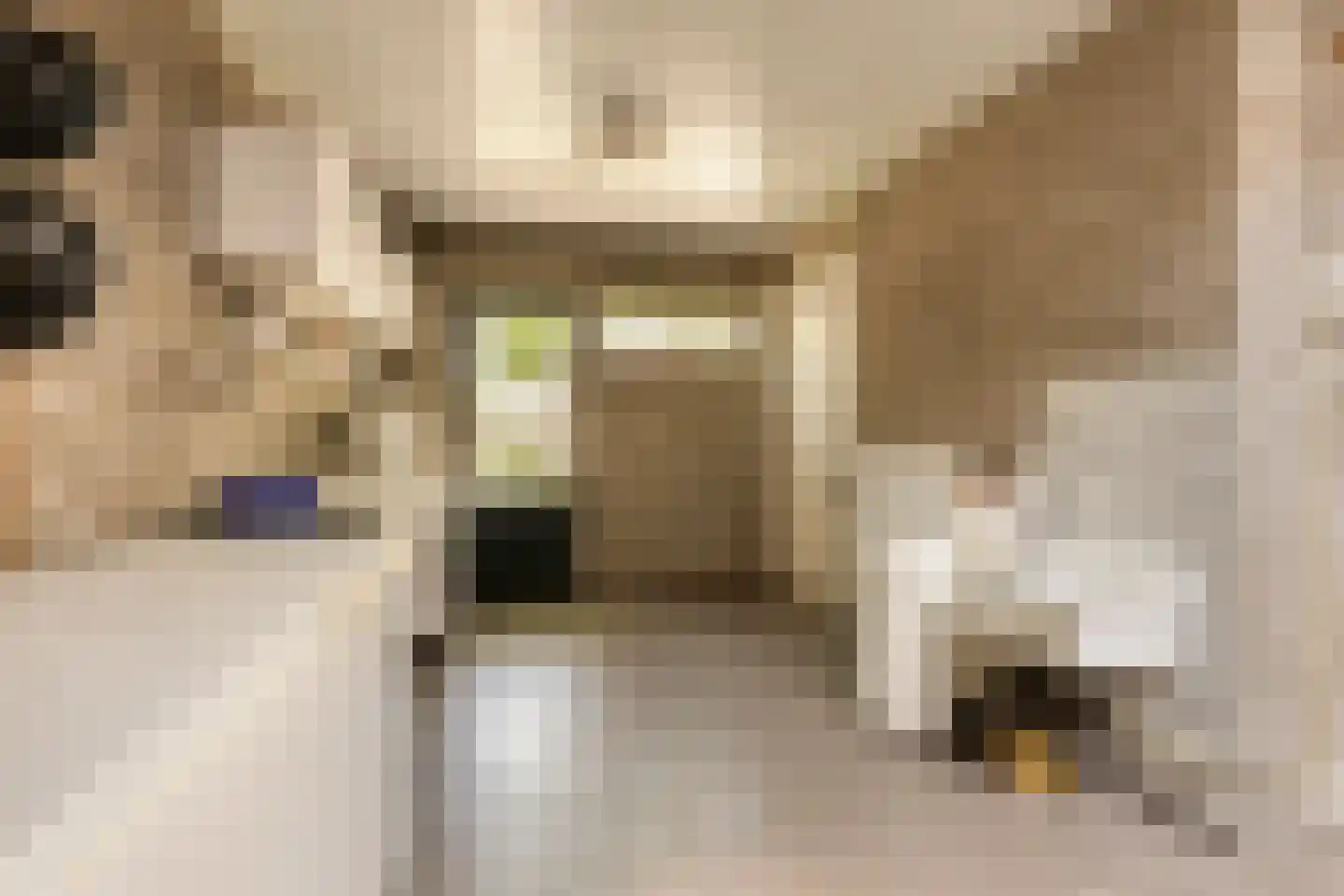 Kranenberg 31 Casteren thumbnail 23