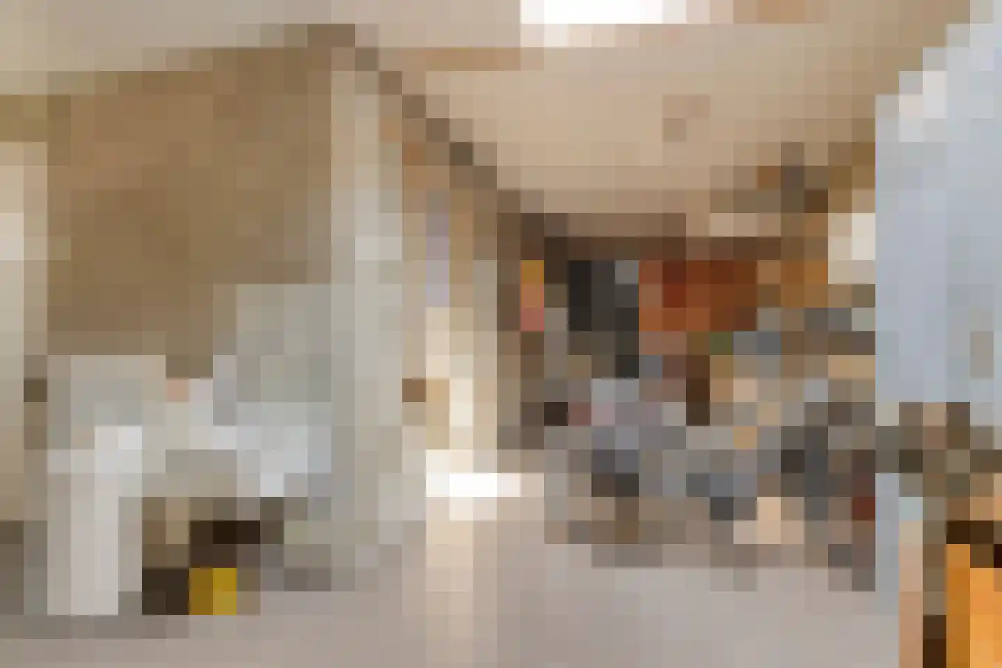 Kranenberg 31 Casteren thumbnail 24