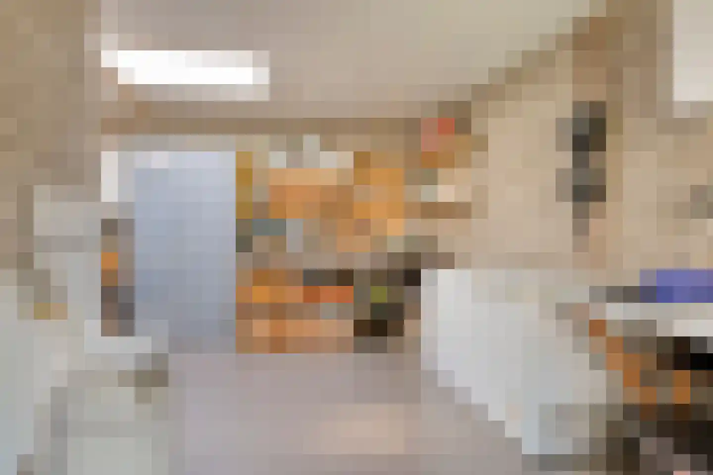 Kranenberg 31 Casteren thumbnail 26