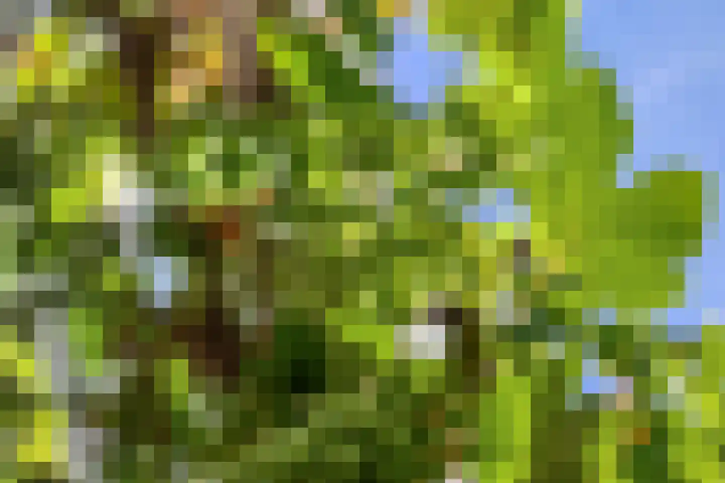 Kranenberg 31 Casteren thumbnail 52