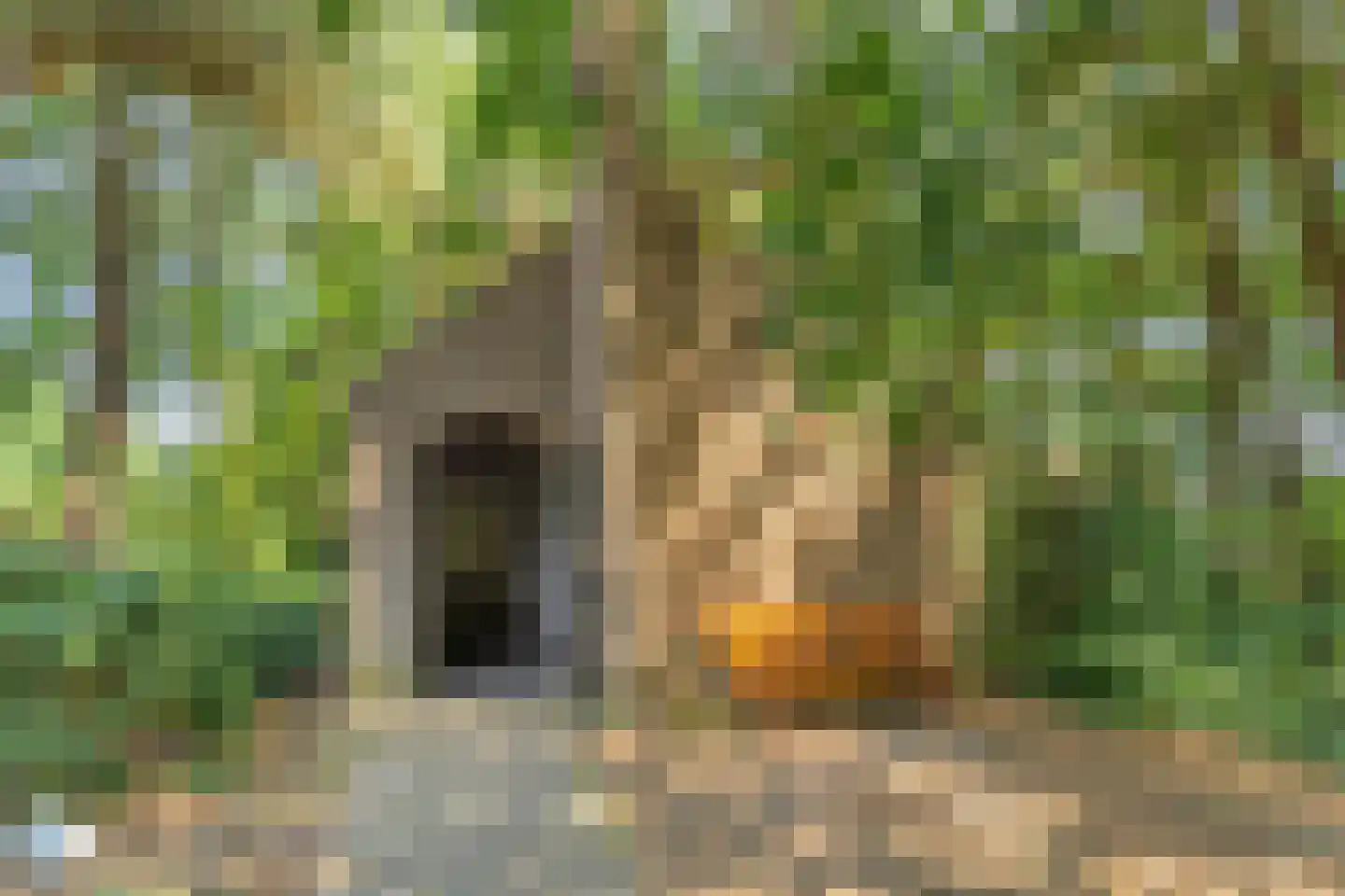 Kranenberg 31 Casteren thumbnail 56